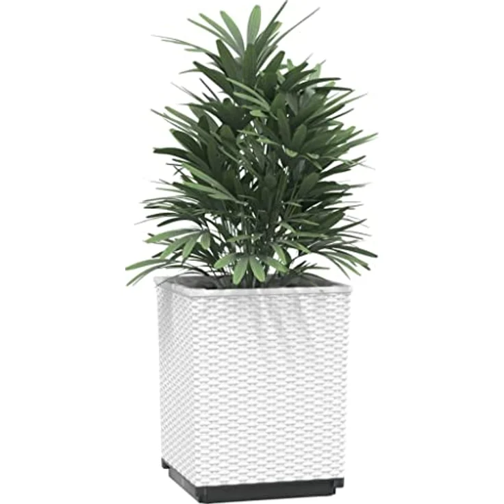 vidaXL Pflanzkübel, Pflanzkasten 2er Set, Weiß, 30x30x37 cm aus Polypropylen – Bild 3