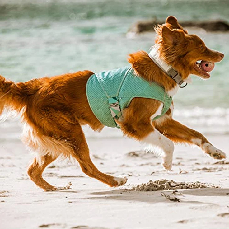 Hurtta Cooling Wrap Kühlweste für Hunde Sommer Kühlweste Aquamarin Hellblau 40-50cm – Bild 2