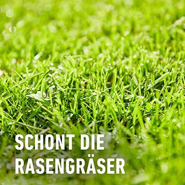 COMPO Rasenunkraut-Vernichter Perfekt 110 ml – Bild 5