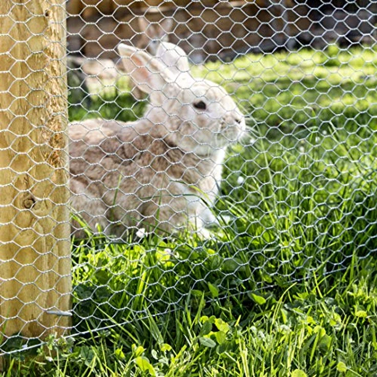 Windhager Kleintiergeflecht verzinkt, Sechseck-Geflecht, Drahtzaun für Hasen und Hühner, Dachrinnenabdeckung, Maschenweite 13mm, 10 x 0,5 m x 0,7 mm, 70022 – Bild 3