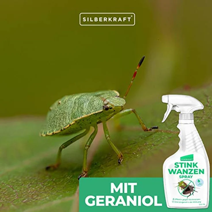 Silberkraft Stinkwanzen Bekämpfung Spray 500 ml, zuverlässiger Stinkwanzenschutz für Innen und Außen, garantiert hilfreiches Anti-Stinkwanzen-Mittel, gegen Schaben, Wanzen und andere Ungeziefer – Bild 4