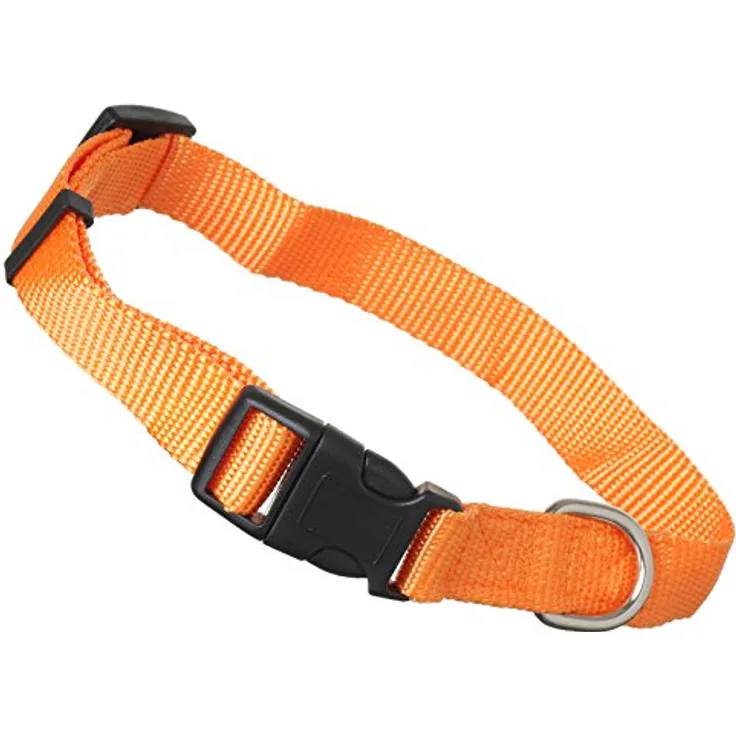 scarlet bijoux Hundehalsband »Universal« aus robustem Nylon mit Klickverschluss und Längenverstellung, S: 24-34 x 1,5 cm, orange