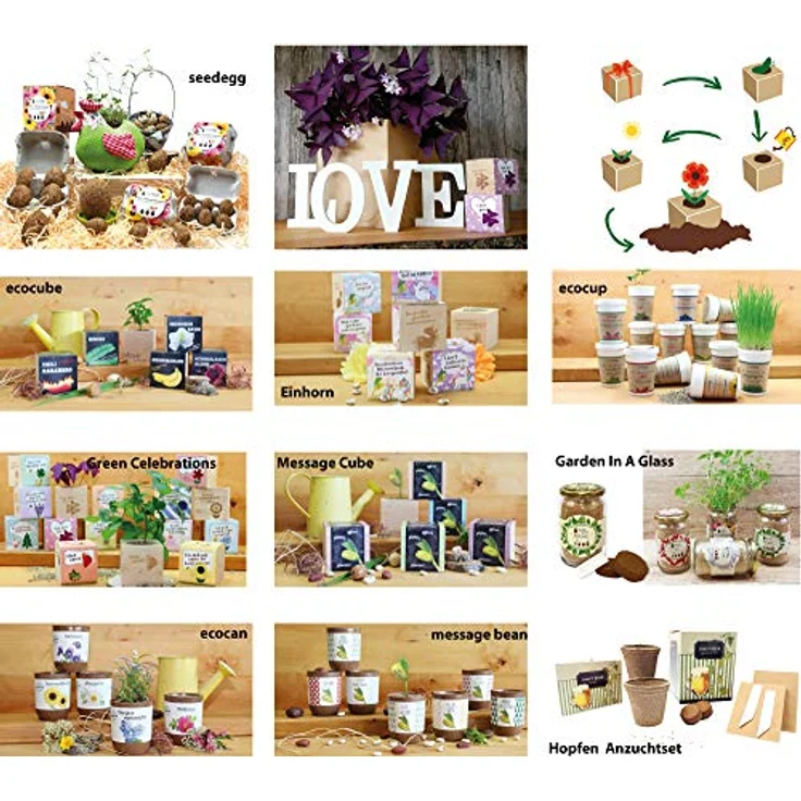 Feel Green Ecocube Orchideenbaum, Anzuchtset für Orchideen mit biologisch abbaubaren Komponenten, nachhaltige Geschenkidee, Made in Austria – Bild 4