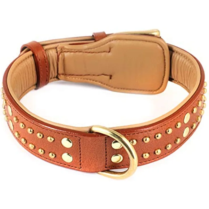 Monkimau Hundehalsband - Halsband für Hunde aus Leder mit Nieten gepolstert verstellbar (XS-S: 25mm x 40cm)
