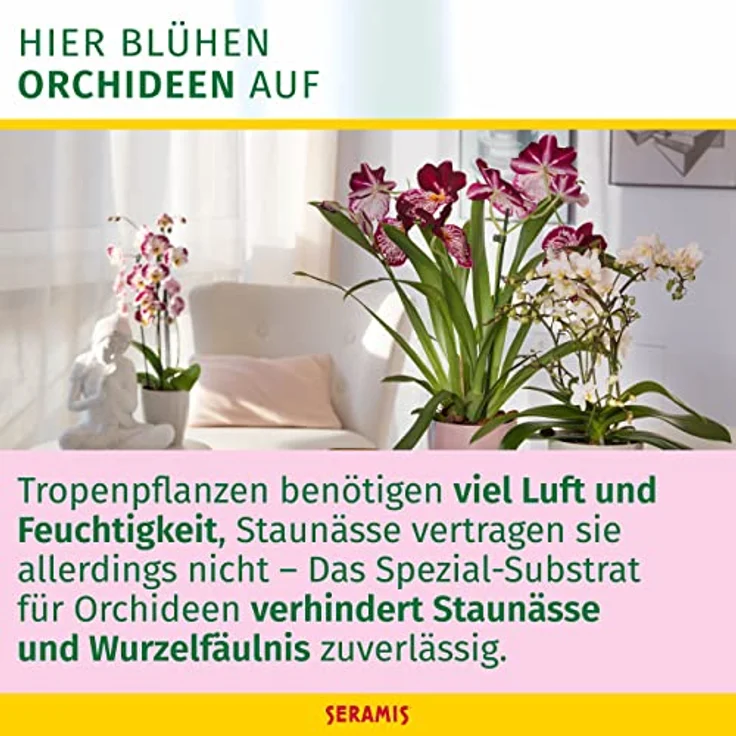 Stroetmann SERAMIS Spezial-Substrat für Orchideen 2,5 L – Bild 3