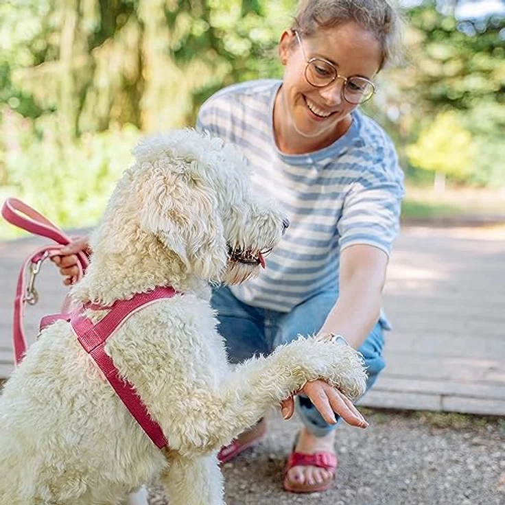 Nobby Norwegergeschirr Classic Preno, neon grün / grau L: 60-76 cm + 46 cm, B: 25/35 mm, 1 Stück – Bild 3