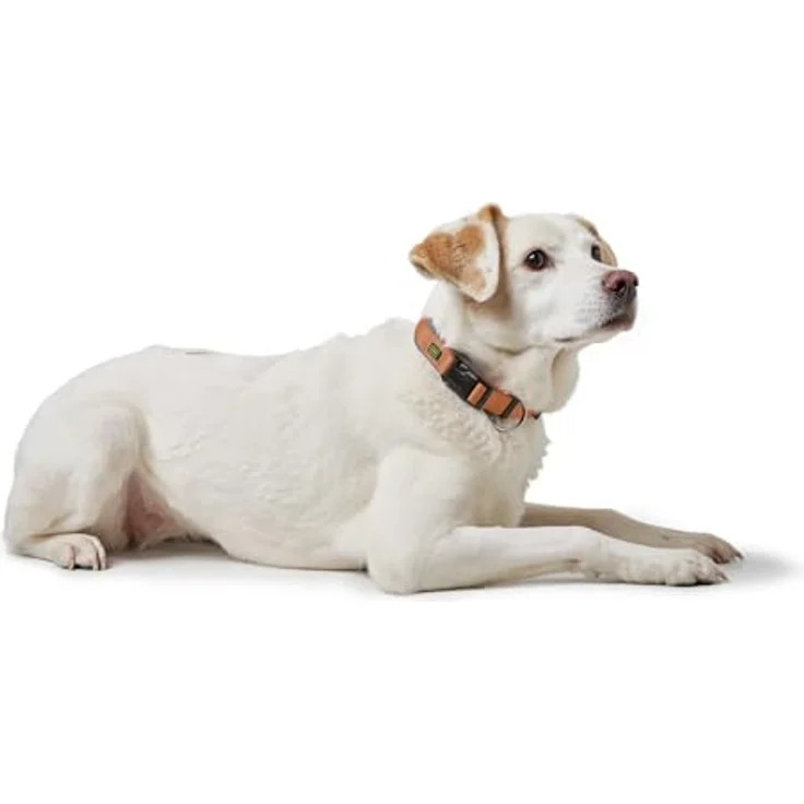 HUNTER Hundehalsung NEOPREN Vario Plus, strapazierfähiges Nylon, weiche Neoprenpolsterung, stufenlos verstellbar, mit Zugentlastung, pflegeleicht, komfortabel, Kupfer/grau, Größe S/1,5 – Bild 3