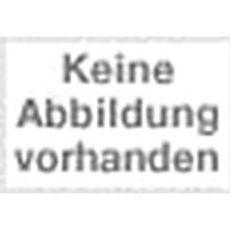 GLORIA 8432288103388 Collar Leder 2-reihigen Nieten, Negro, 250 g