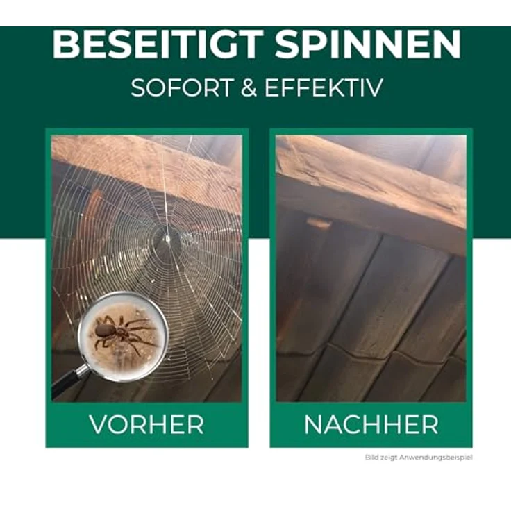 Silberkraft Spinnenspray 500ml, Anti Spinnen Spray mit Langzeitwirkung für Innen & Außen, inkl. gratis E-Book per QR-Code, Biozidprodukt gegen Spinnen im Haus, Keller & an der Fassade – Bild 2