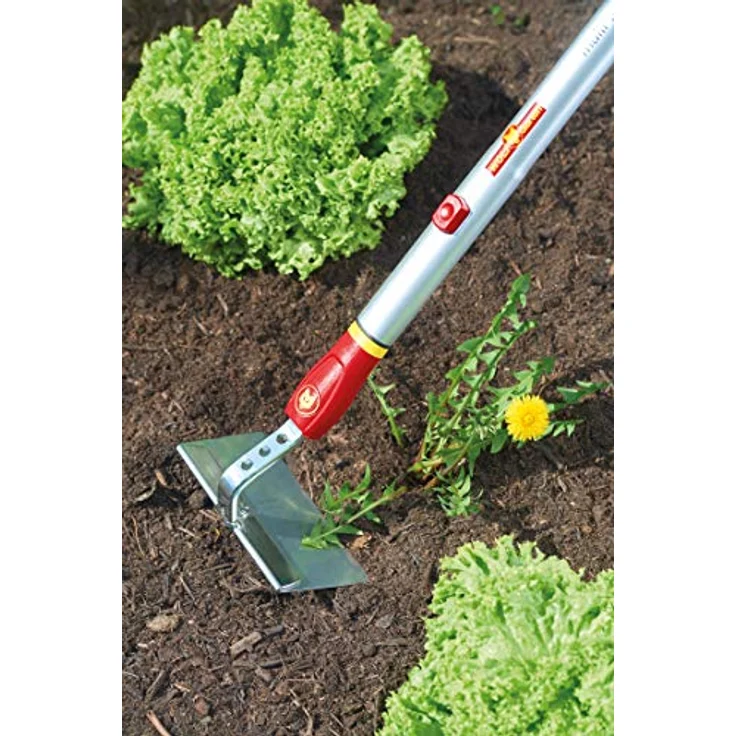 WOLF-Garten - Hacke multi-star HW-M 15, Rot, 15x20x10 cm, 71AAA008650 – Bild 2