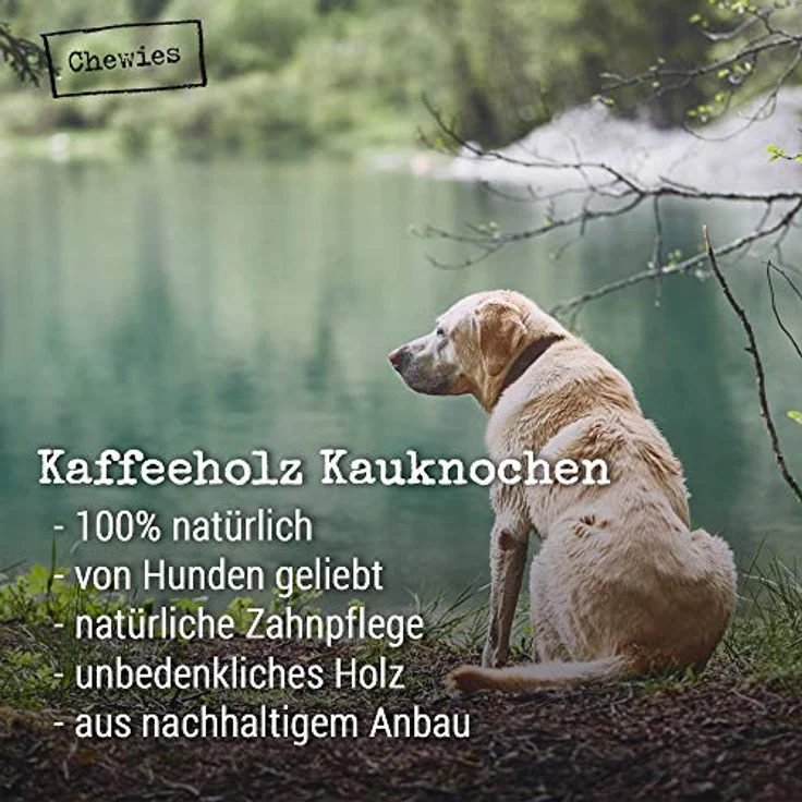 Chewies Kaffeeholz Kaustab für Hunde - Kauknochen Hunde-Spielzeug - 100 % natürliches Hundezubehör risikoarm & langlebig - Größe S: Für Hunde bis 12 kg Körpergewicht, S (1er Pack) – Bild 3