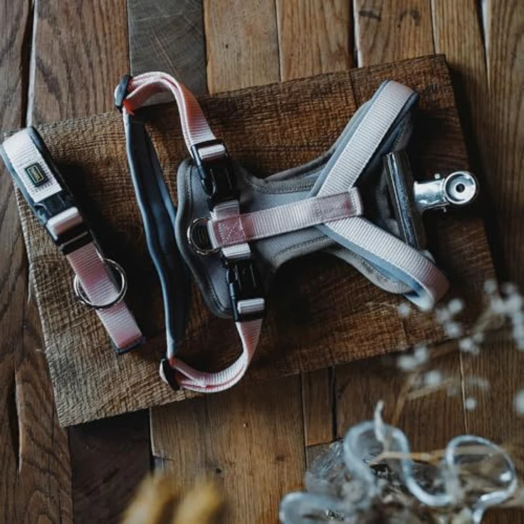 HUNTER Hundehalsung NEOPREN Vario Plus, pfirsich/grau, strapazierfähiges Nylon, stufenlos verstellbar mit Zugentlastung, Größe S/1,5 – Bild 3