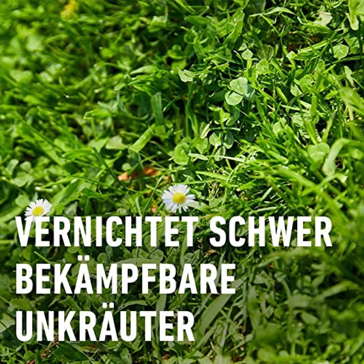 COMPO Rasenunkraut-Vernichter Perfekt 110 ml – Bild 3