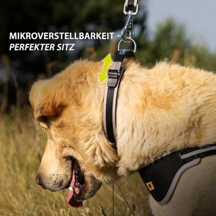 Ferplast Ergocomfort C25/60, Hundehalsband für große Hunde mit Mikroverstellung und weicher Polsterung, Silber – Bild 4