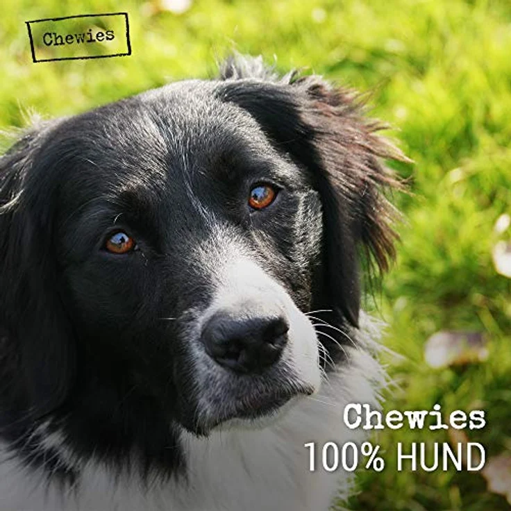Chewies Kauknochen Hunde-Spielzeug aus Olivenholz für Hunde - 100 % natürliches Hundezubehör risikoarm & langlebig - Größe L: Für Hunde bis 30 kg Körpergewicht – Bild 4