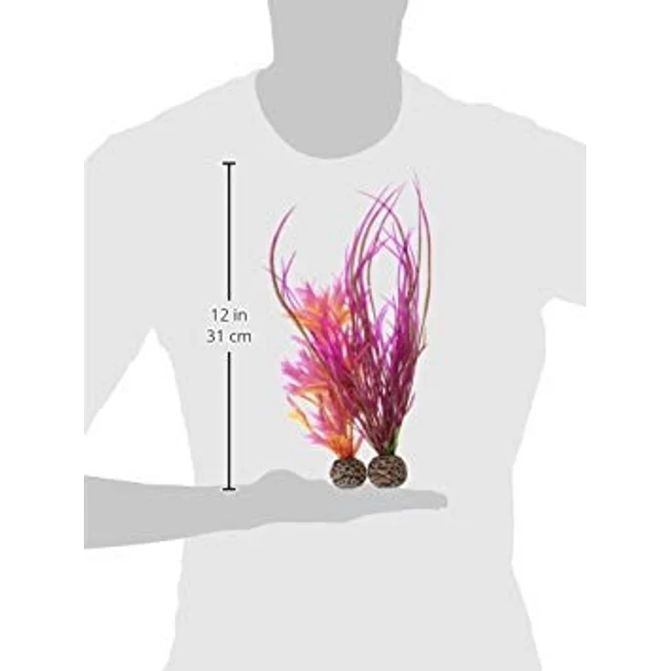 biOrb Pflanzen Set mittelgroß rot & pink (46058) – Bild 2