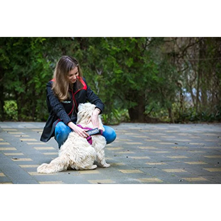 Julius-K9 K9 GURTGESCHIRR GR 0 ROSA 58-7 (M, Hund), Halsband + Leine - Verstellbare Gurte, reflektierende Aufschriften, Sicherheit und Komfort. – Bild 5