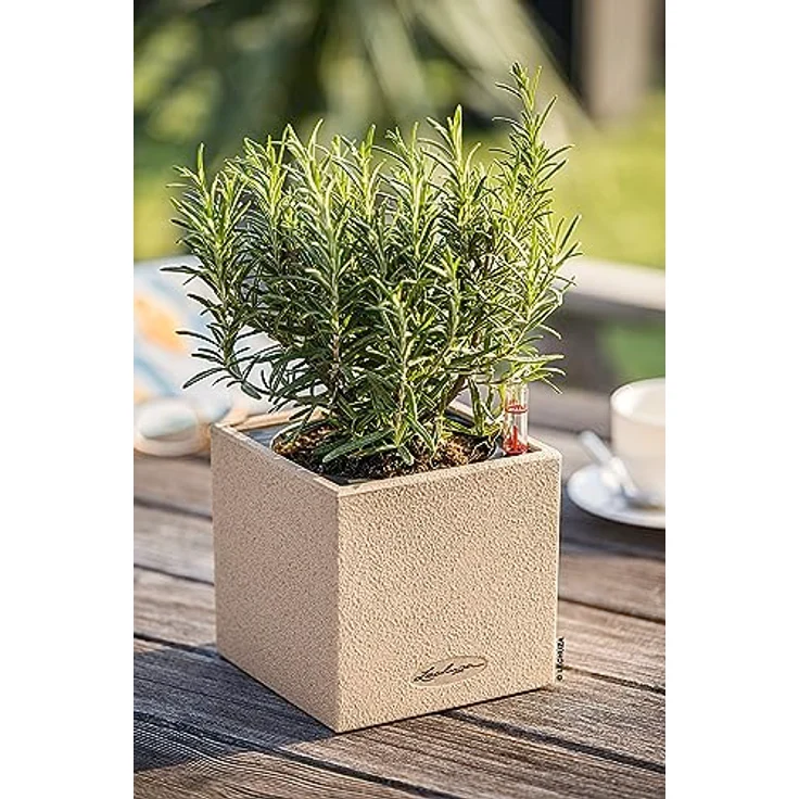 LECHUZA CANTO Stone 14 hochwertiger Kräuterwürfel mit Stick-Bewässerungssystem, sandbeige – Bild 6