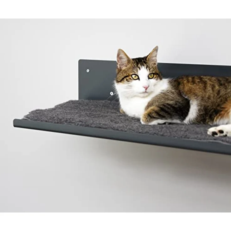 LucyBalu® Wandliege für Katzen | Katzenbett für die Wand | Katzen Wand Liegeplatz | Katzen Wandbett | Katzenliege für die Wand | Katzenmöbel für Kletterwand | Katzenregal | Anthrazit mit Woll-Auflage – Bild 4