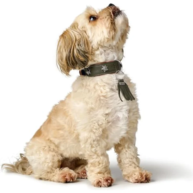 HUNTER Hundehalsband MÜNCHEN, Leder grün/Cognac, mit edlen Trachten-Details, fellschonend, Made in Germany, Größe 55 – Bild 5