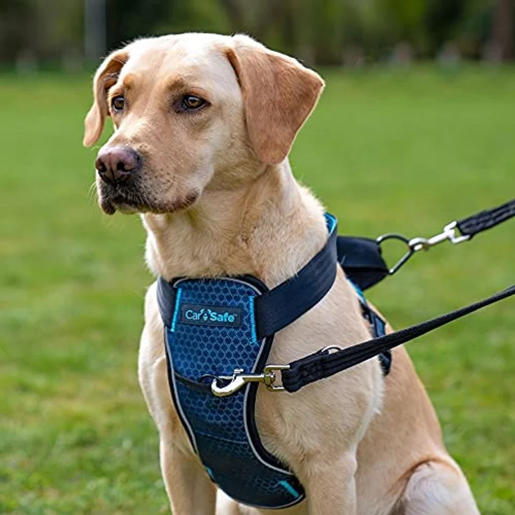 Company of Animals Hunde-Geschirr CarSafe Crash Tested Hundegeschirr blau, gepolstert, atmungsaktiv, flexibel, sicher bis 32 kg, reflektierend – Bild 4
