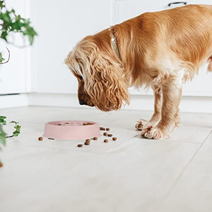 10 x Anti Schling Napf, Futternapf für Hunde, 500 ml Volumen, für langsames Fressen, Hundenapf spülmaschinenfest, rosa (10) – Bild 2