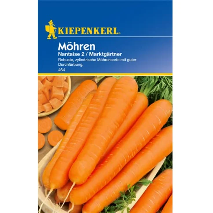 Möhren Nantaise 2 / Marktgärtner – Bild 2