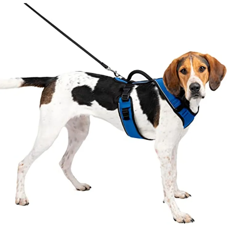 PetSafe EasySport Geschirr (Hund, Spazieren), Halsband + Leine