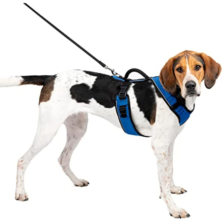 PetSafe EasySport Geschirr (Hund, Spazieren), Halsband + Leine – Bild 1