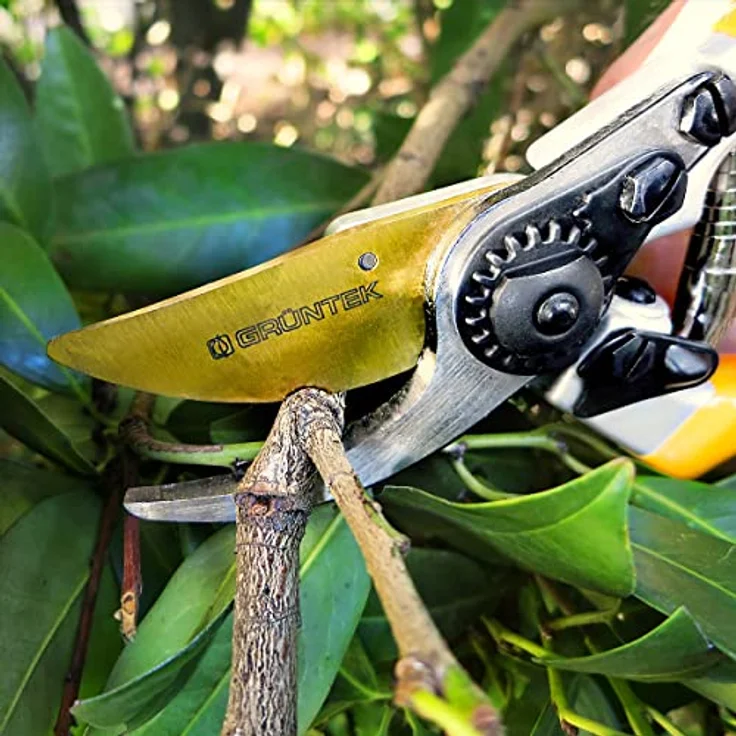 GRÜNTEK Gartenschere Premium Bypass-schere Z-25, Titan beschichtete SK5 Klinge, Rebschere Ergonomisch 215 mm, Antihaftbeschichtet – Bild 5
