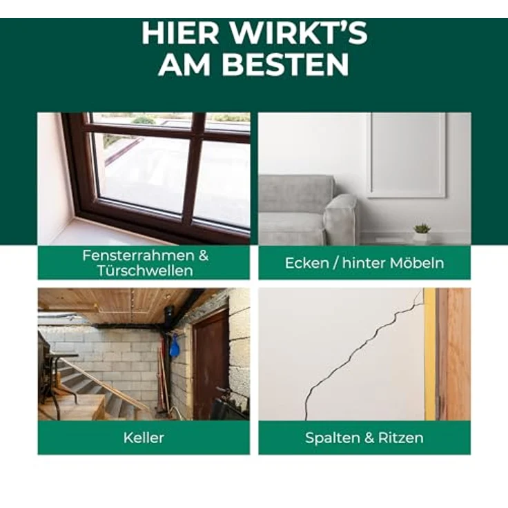 Silberkraft Spinnenspray 500ml, Anti Spinnen Spray mit Langzeitwirkung für Innen & Außen, inkl. gratis E-Book per QR-Code, Biozidprodukt gegen Spinnen im Haus, Keller & an der Fassade – Bild 3