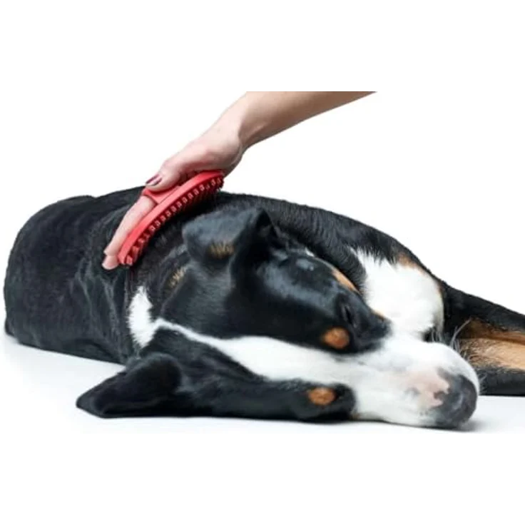 Hunter Tierbedarf Fellbürste Wellness Grooming Comb, Pflegeartikel für schonende Fellpflege und beste Verträglichkeit – Bild 3