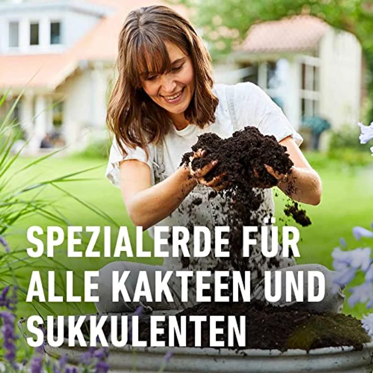 COMPO Cactea Kakteen- und Sukkulentenerde 5 Liter – Bild 2