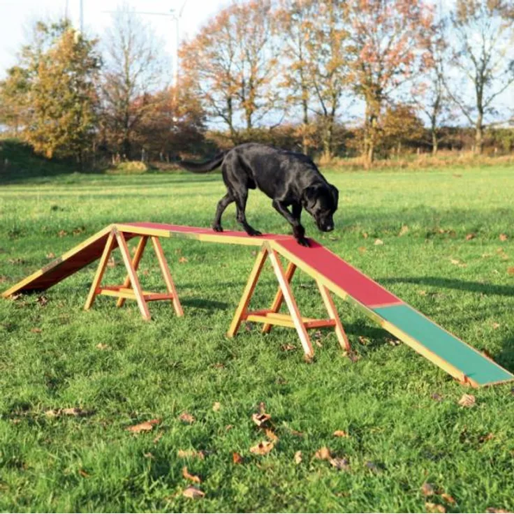 Trixie Dog Activity Agility Steg 456x64x30 cm