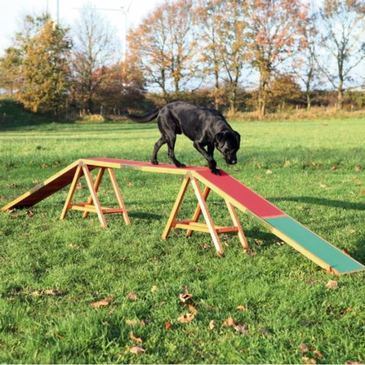 Trixie Dog Activity Agility Steg 456x64x30 cm – Bild 1