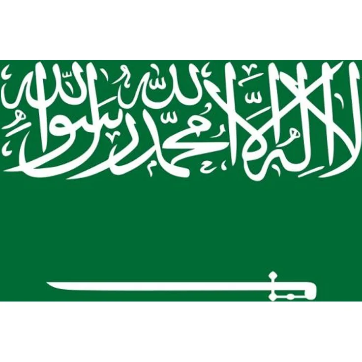 trends4cents XXL Flagge Saudi Arabien 250 x 150 cm mit 2 Ösen 100g/m² Stoffgewicht Hissfahne Hissflagge