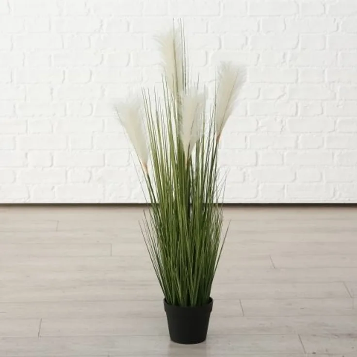 Boltze Topfplanze Pampasgrass 100 cm mehrfarbig