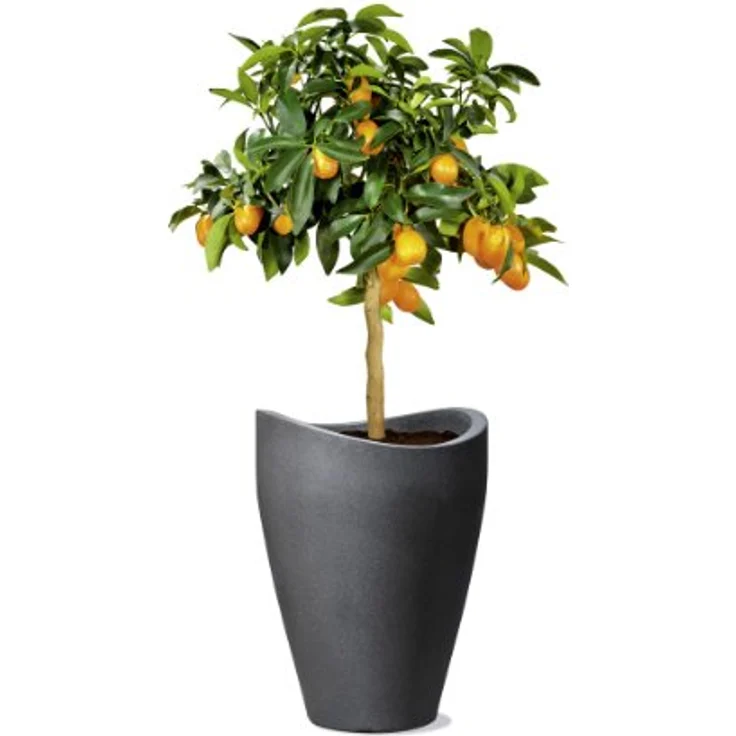 Scheurich Wave Globe High, Hochgefäß aus Kunststoff, Schwarz-Granit, 29,8 cm Durchmesser, 40 cm hoch, 6 l Vol. – Bild 1