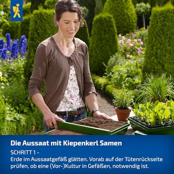 Kiepenkerl Profi-Line Obstsamen Erdbeere Tresca, kompaktwachsende Erdmbeere mit großen aromatischen Früchten, Erntezeit Juli – Bild 3
