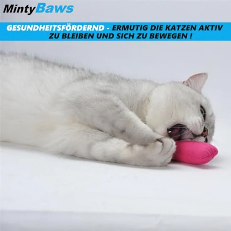 MAVURA MintyBaws Katzenminze Kissen Set Katzenspielzeug, (Katzenminze-Kissen Katzen Interaktiv), Spielzeug Beschäftigung Minze [5er Set] – Bild 2