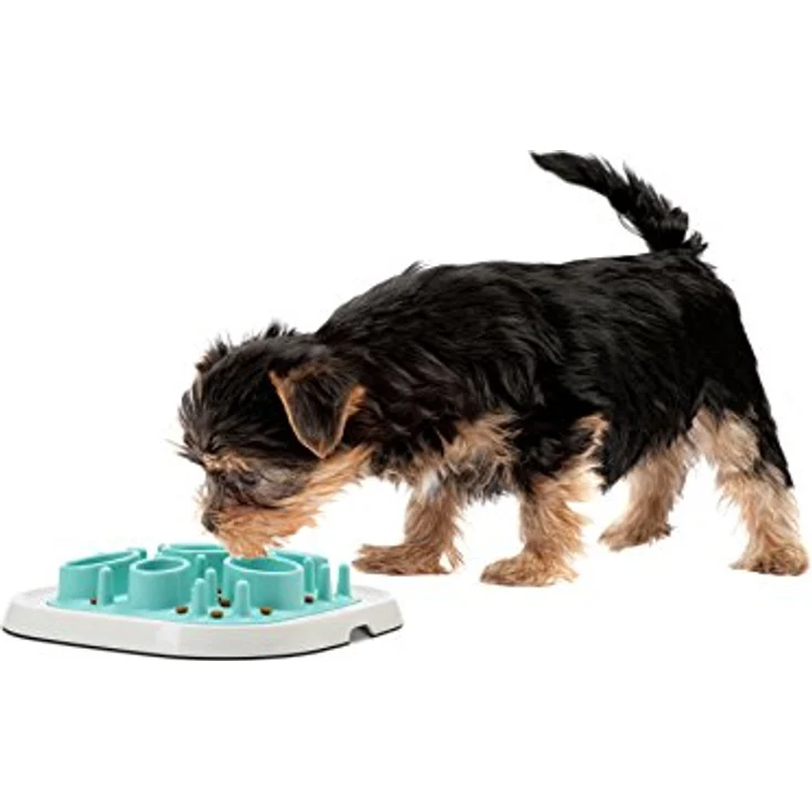 Savic PET Enigma Medium 11 – Bild 3