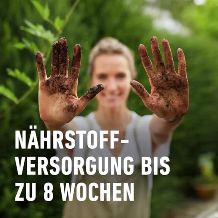 COMPO Sana Bonsaierde 5 Liter – Bild 6