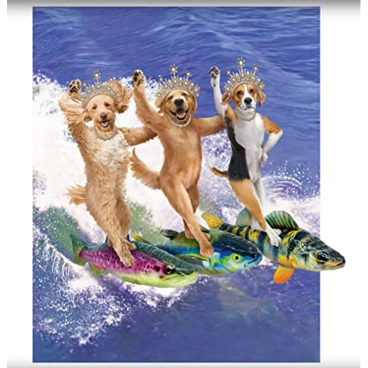 KONG Wild Shield Hundespielzeug, Fischform für mittelgroße Rassen, ultra-strapazierfähig, schwimmfähig, ideal für Apportieren und Jagdtraining – Bild 5