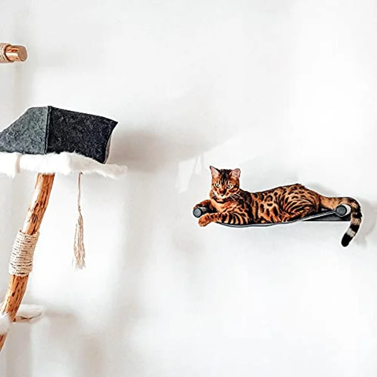 CanadianCat Company | Katzenhängematte aus Filz mit Wandmontage | ca. 65 x 35 x 10 cm | Anthrazit | Kletterwand Liegemulde Wandliege Katzenbett aus Filz – Bild 2