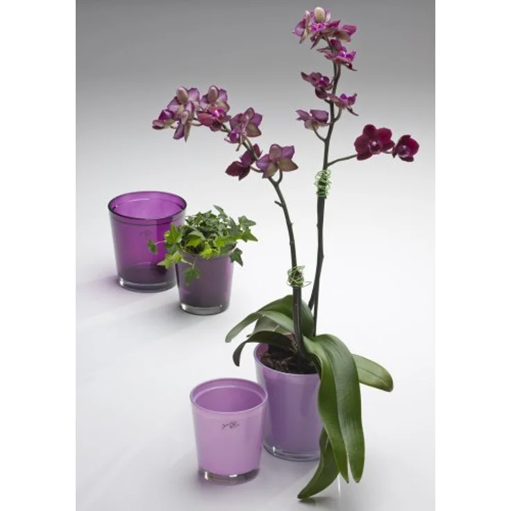 Sandra Rich Orchideentopf Orchid, violett konisch, 11 cm hoch, Ø 10 cm – Bild 3