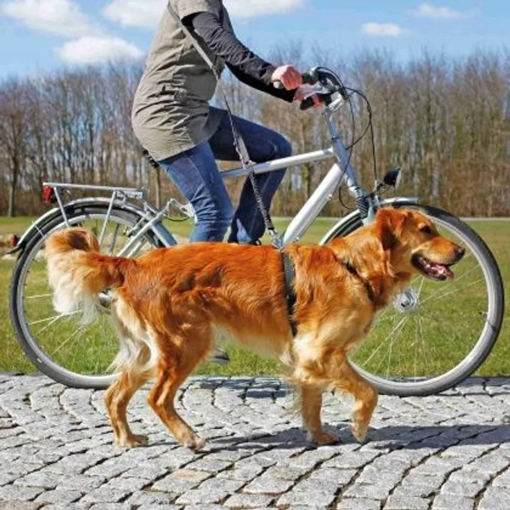 Trixie Fahrrad- und Joggingleine 1,00-2,00 m 25 mm schwarz