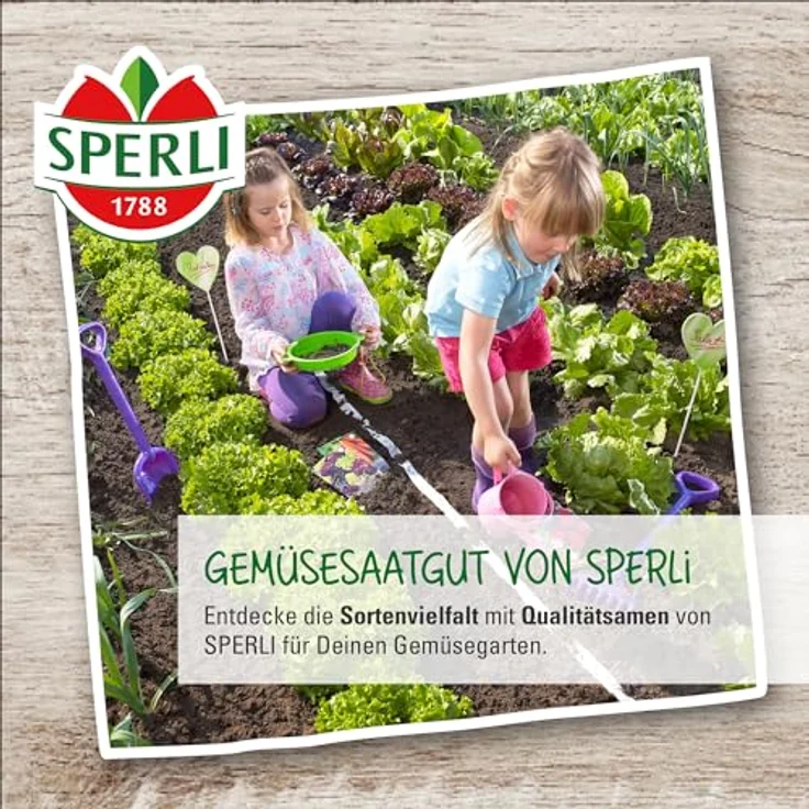 Sperli Monatserdbeeren Bowlenzauber – Bild 4