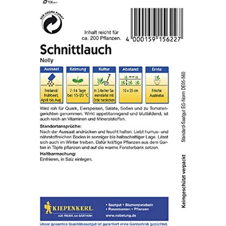 Schnittlauch Nelly feinröhrig, mehrjährig – Bild 3