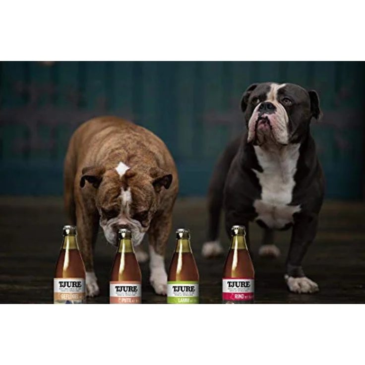 TJURE Dog Hundesmoothie Kennenlernpaket All in One 4 x 320ml - Flüssignahrung für Hunde zuhause und unterwegs - Optimale Flüssigkeitszufuhr für aktive oder trinkfaule Hunde – Bild 5