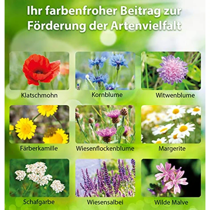 Evergreen Garden Care Deutschland GmbH SUBSTRAL&reg, Die Blumenwiese Rasen-&amp,Blumensamen 800 g – Bild 4